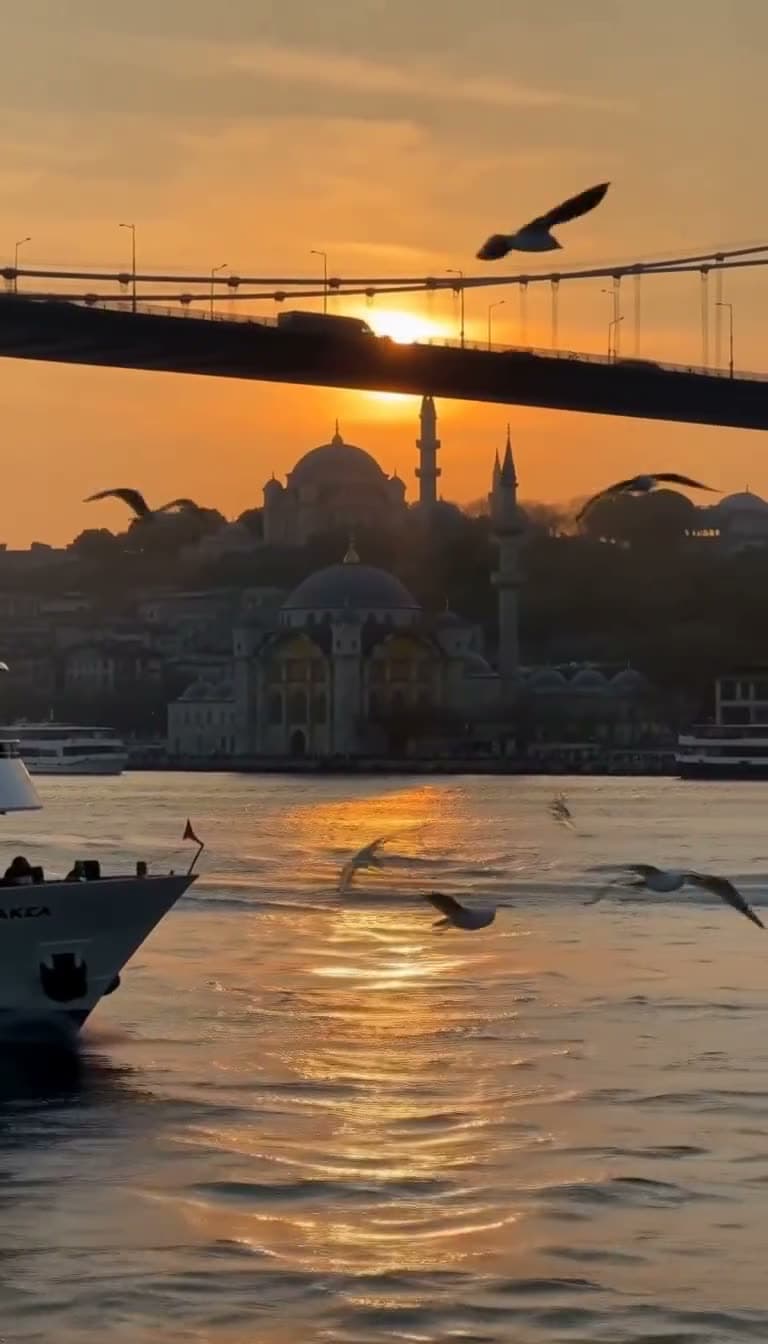 İstanbul Boğazı'nda martılar eşliğinde ilerleyen bir vapur, altın saat ışığı. MiniMax H3 Max Turbo ile üretilen videodan bir kare.