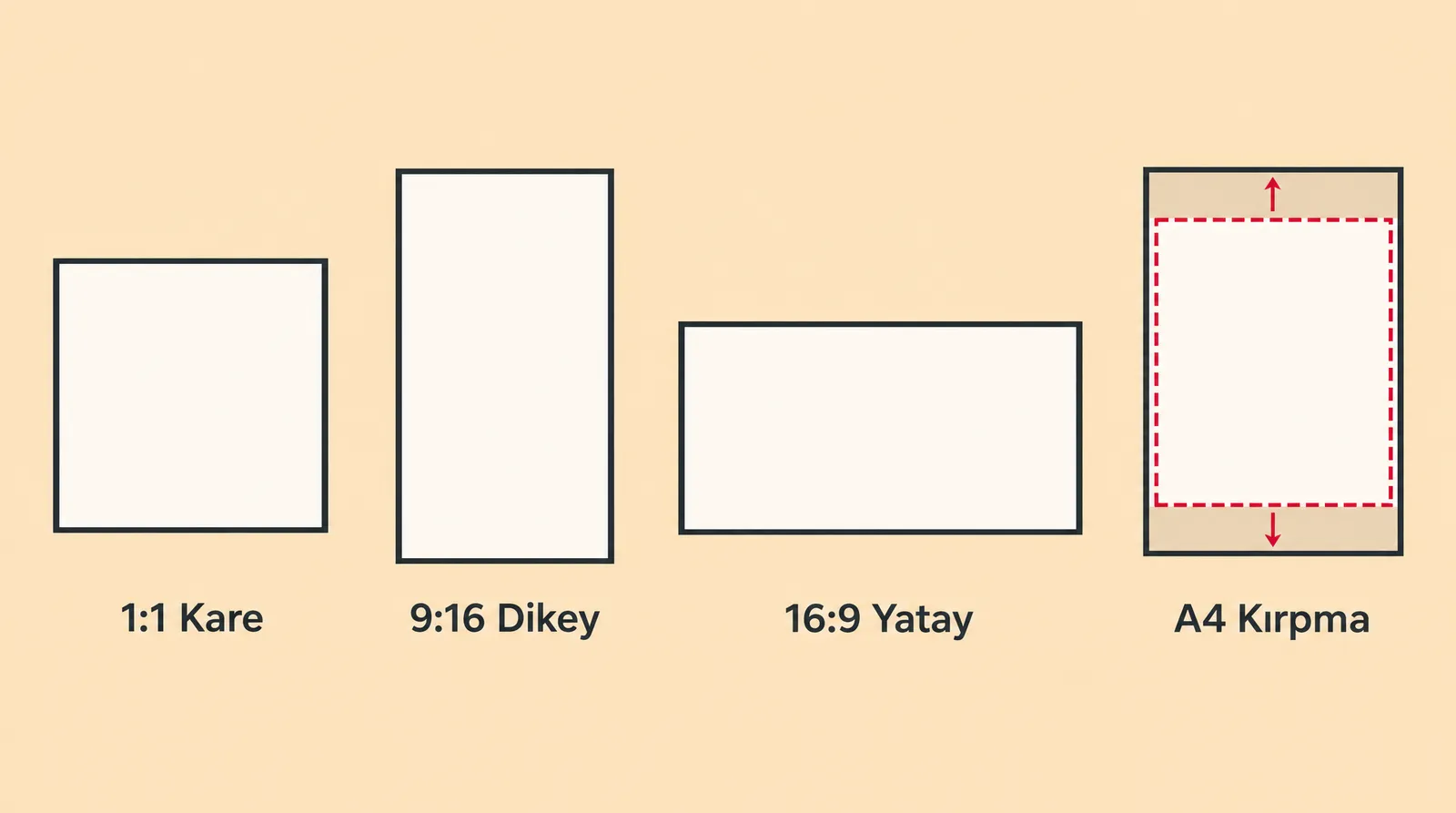 Kare, dikey ve yatay görsel çerçeveleri ile A4 baskı için kesikli kırpma alanı